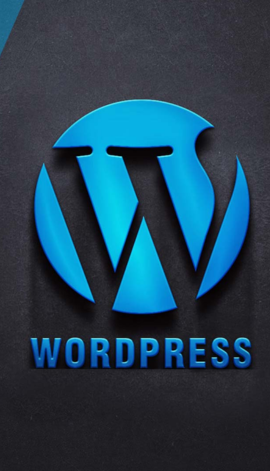syracuse-wordpress-developer