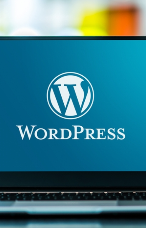 wordpress-programmer-syracuse